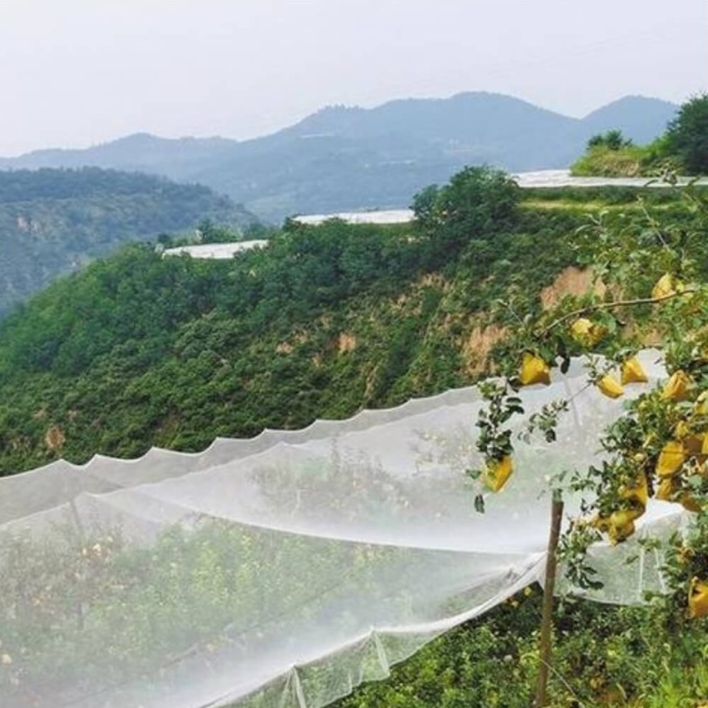 Premium πλεκτό δίχτυ για αμπελώνες