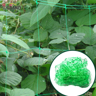 10GSM Green Plant Support Net/Bean Net
