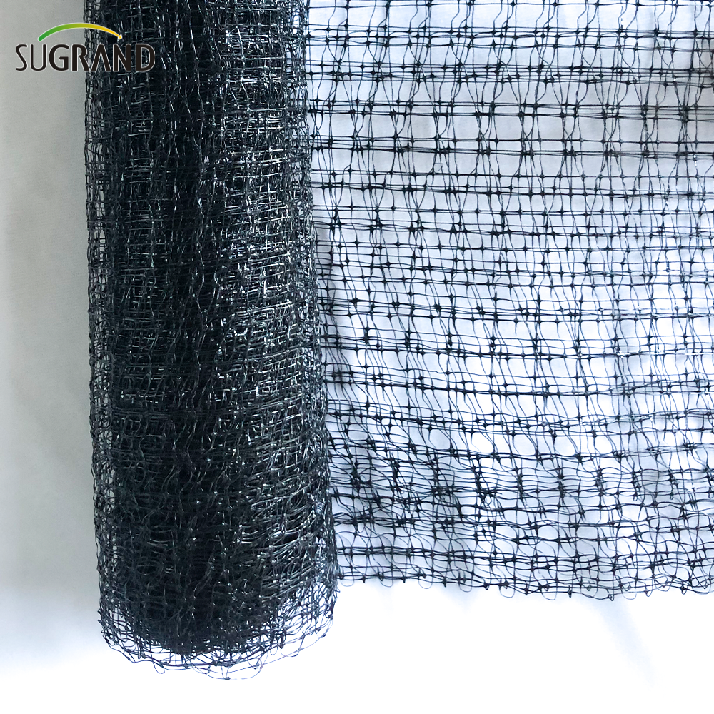 HDPE 200m εξωθημένο αντι -πτηνό δίχτυ για προστασία φρούτων λαχανικών