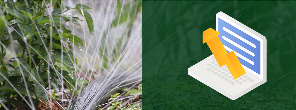 Πότισμα με σταγόνες6