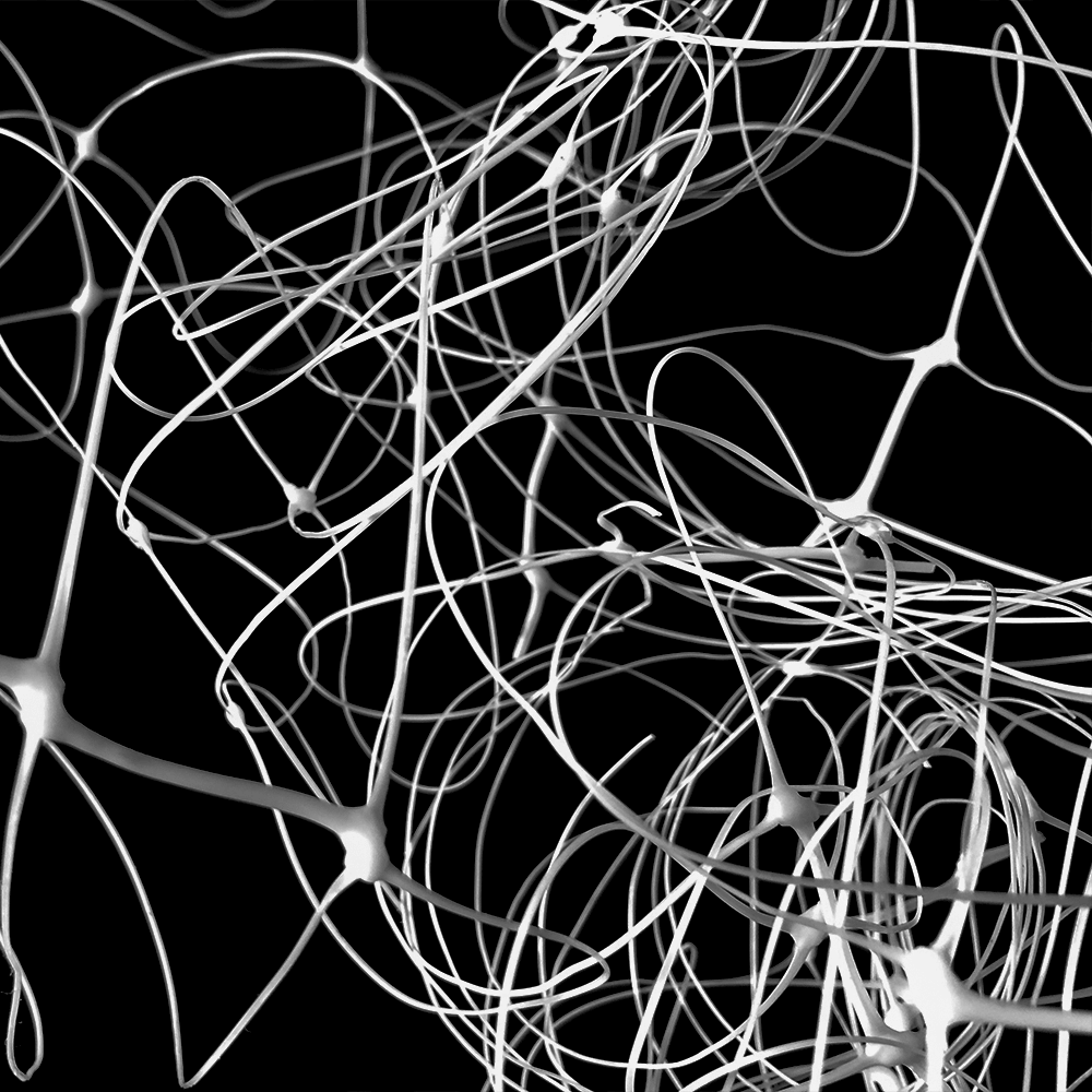 Υποστήριξη φυτών Net Garden Trellis για αναρρίχηση υπαίθριων φυτών