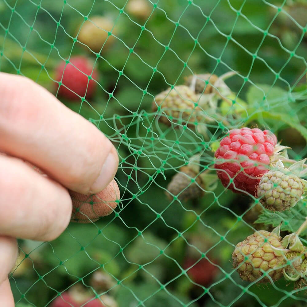 Anti Bird Net for Orchard And Farm