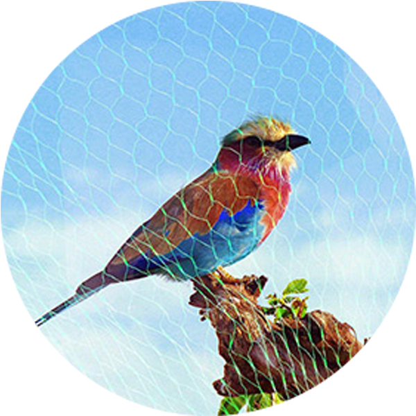 Χονδρικό 75GSM anti Bird Net