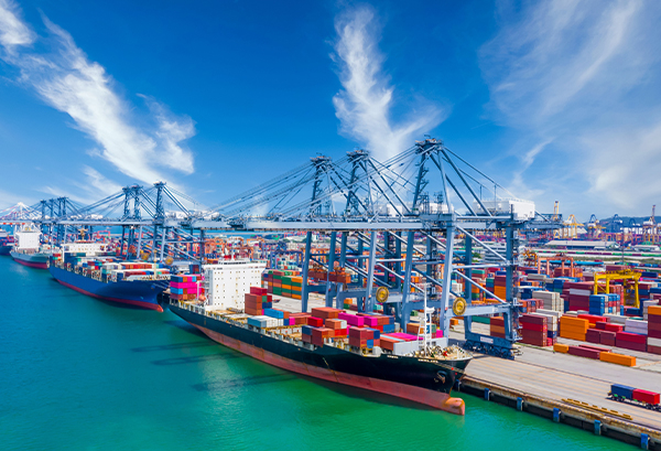 Πλούσια Εμπειρία στην Παραγωγή και Εξαγωγή 