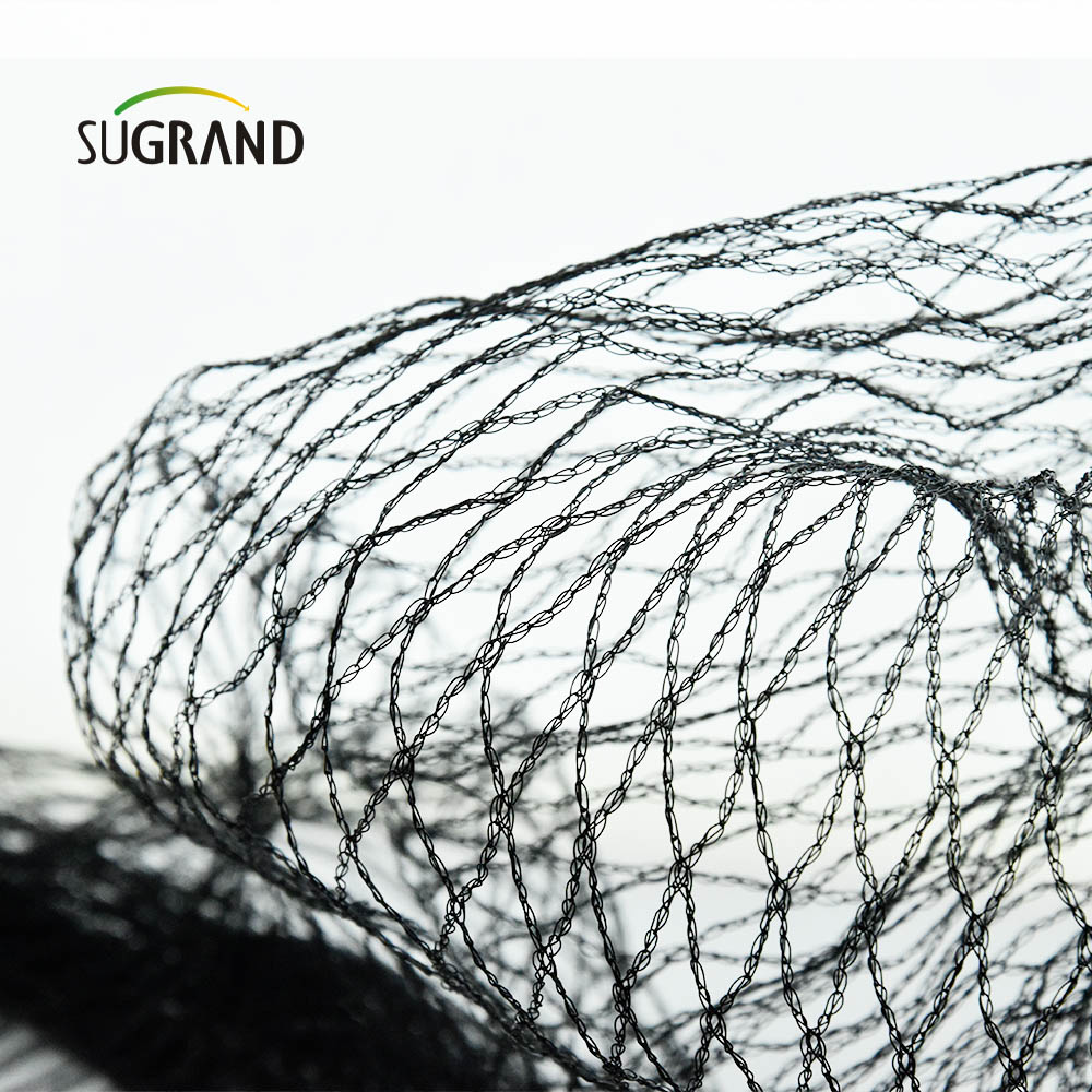 Agricultural Black Green Bird Net Factory