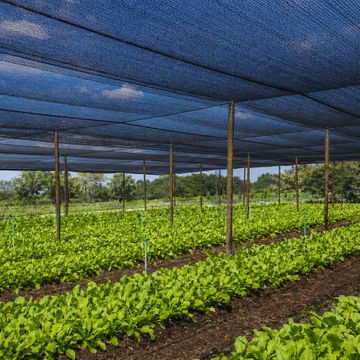 agriculture shade net.jpg