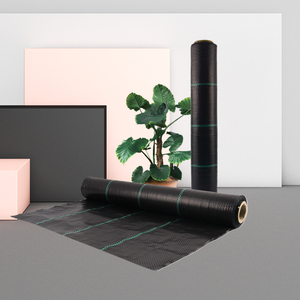 Εργοστάσιο καυτή πώληση μαύρο κάλυμμα εδάφους για βατόμουρα