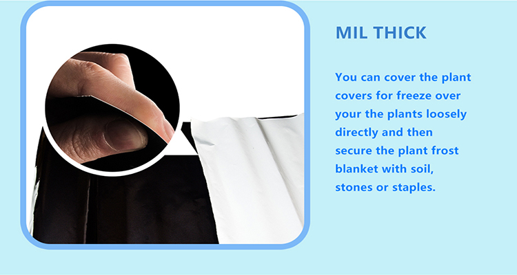 φιλμ για σάπια φύλλα (7)