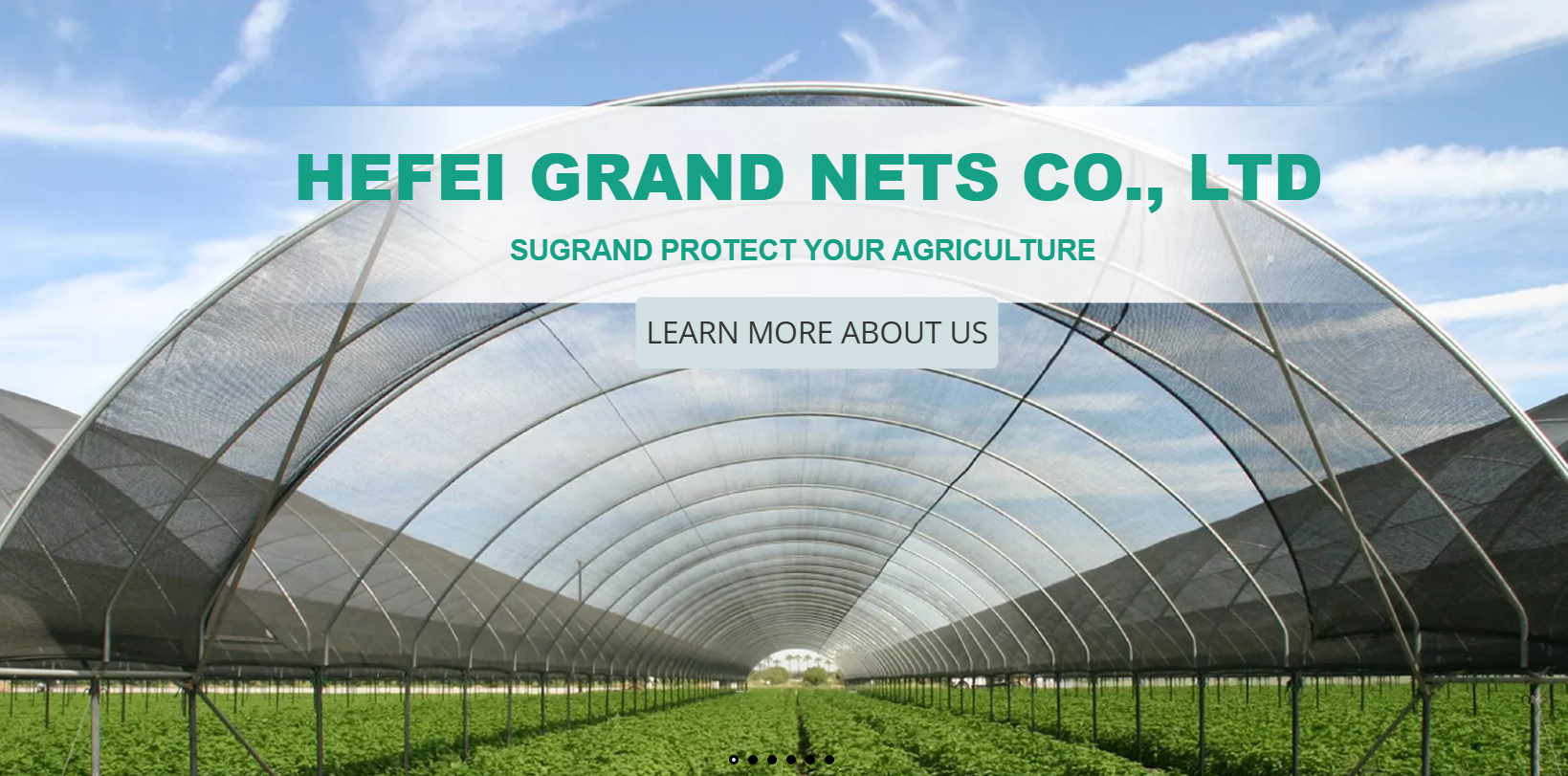 Ποιο είναι το καλύτερο κάλυμμα εδάφους για τον έλεγχο των ζιζανίων;