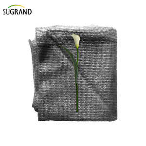 Έξι βελόνες μονοπάθεια μαύρη σκιά δίχτυ