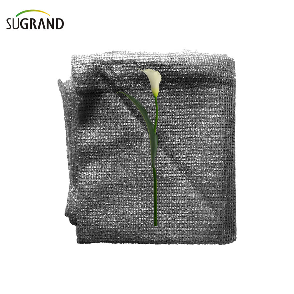 Έξι βελόνες μονο -ταινία γκρι σκιά δίχτυ