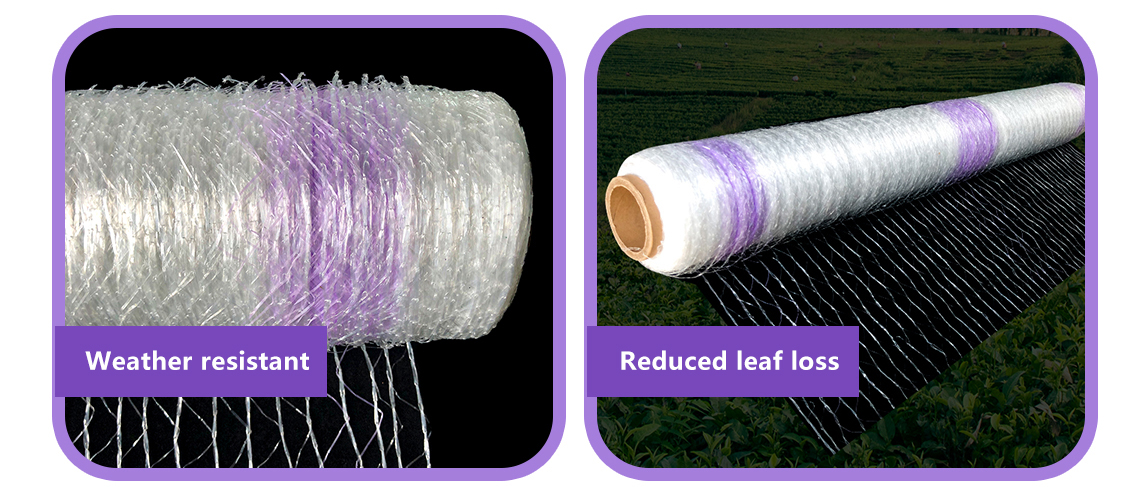 δίχτυ δεμάτων5