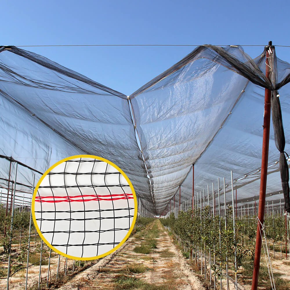 Premium πλεκτό δίχτυ για αμπελώνες