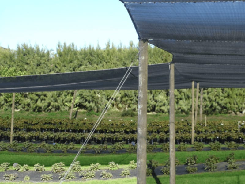 δίχτυ σκίασης λαχανικών