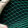 Green Bird Net 4x30m Net Bird για προμηθευτές αγοράς της Ταϊλάνδης