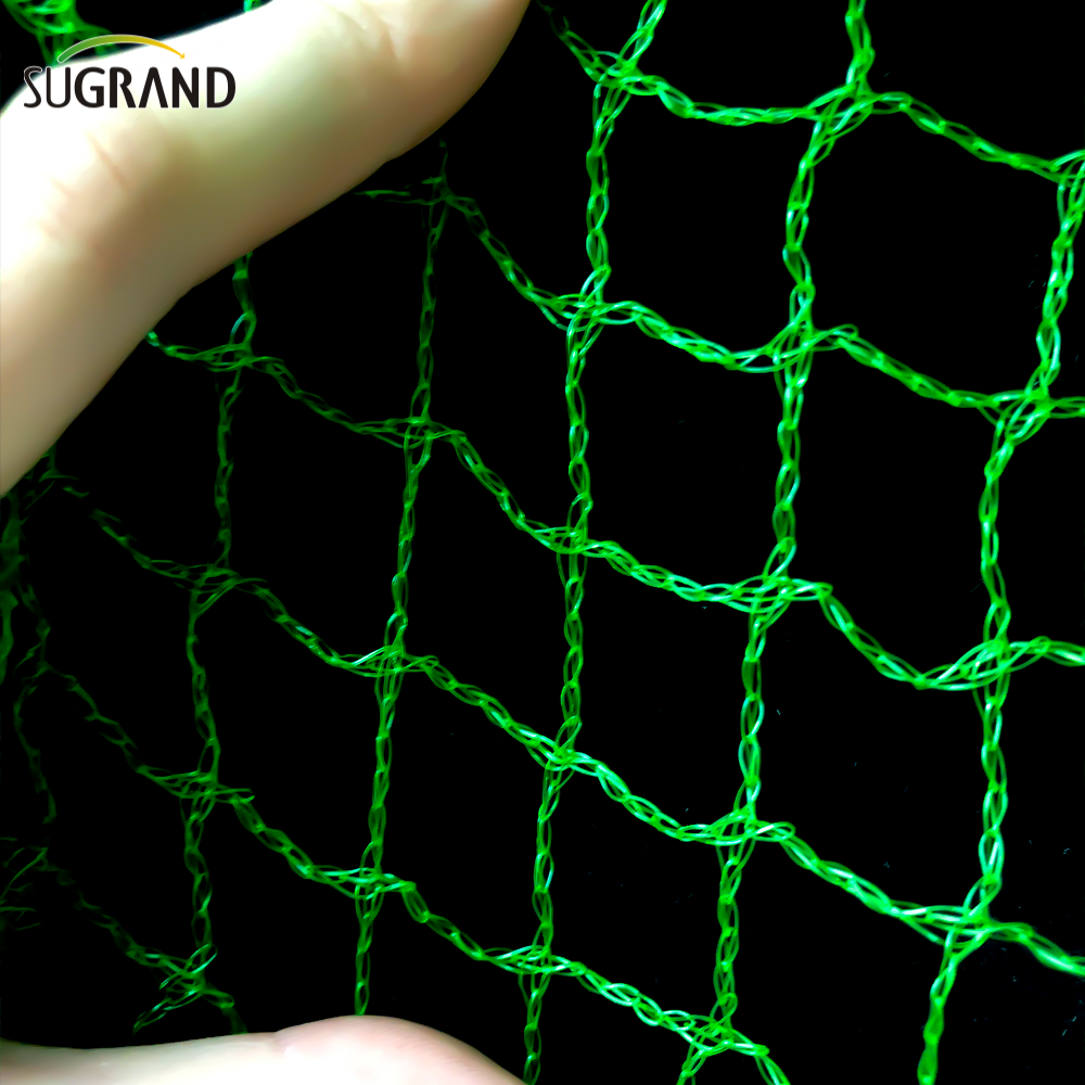 10mm-30mm υφαντό πράσινο πουλί για να πιάσετε το δίχτυ πουλιών