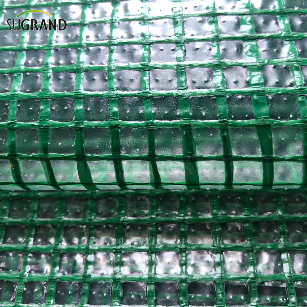 Κατασκευή Tarpaulin Ασφάλεια πλέγμα καθαρό πλέγμα pe tarpaulin