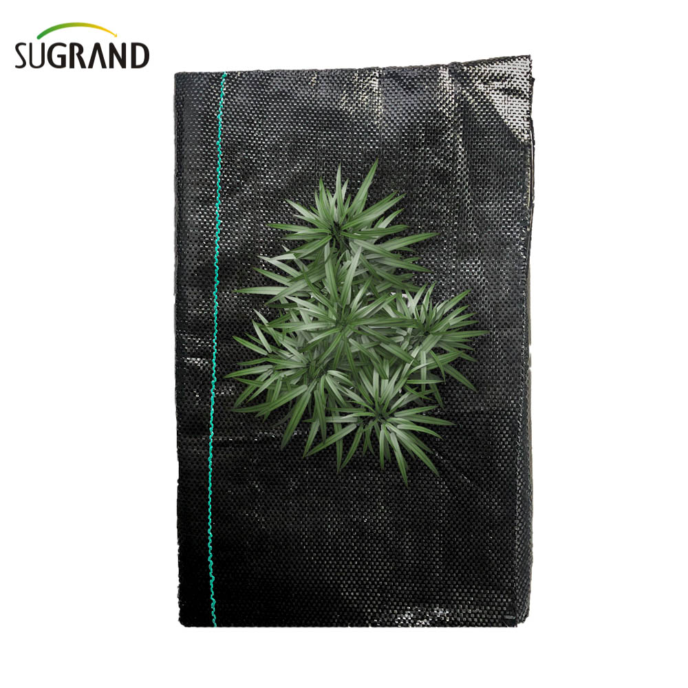 100% pp μαύρο κάλυμμα εδάφους/ζιζάνιο