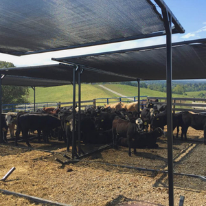 Agriculture Knitted Mono Shade Netting Factory