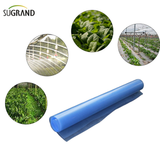  6 mil πολυαιθυλένιο φιλμ μπλε πλαστικό φιλμ θερμοκηπίου 