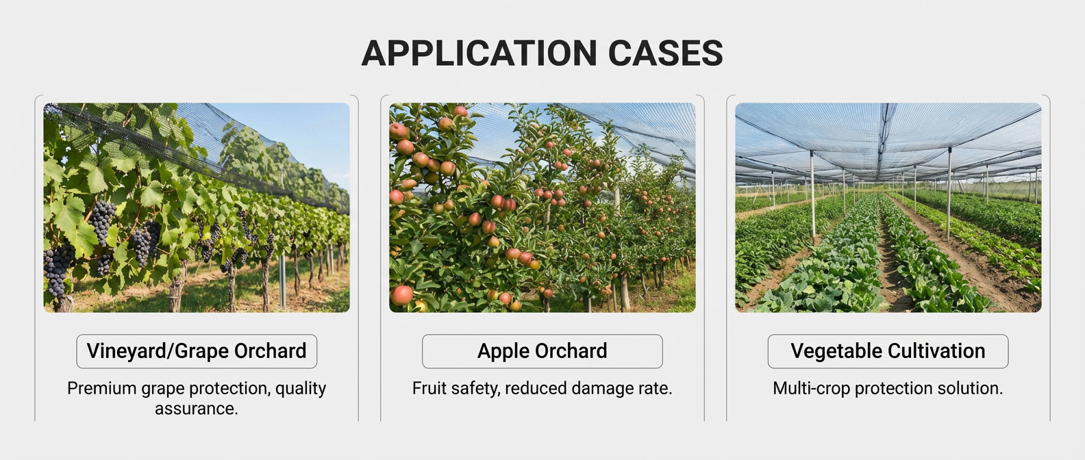 χαλάζι δίχτυ κήπο.jpg