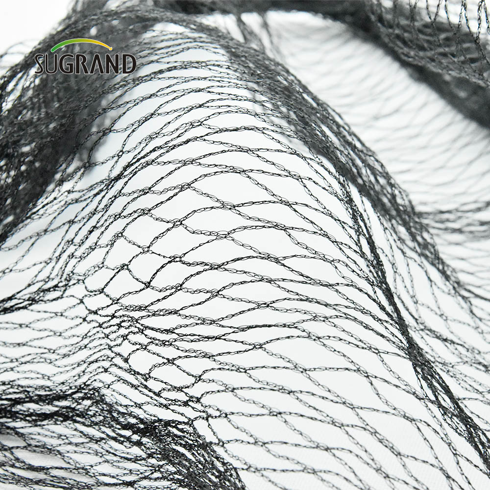 Agricultural Black Green Bird Net Factory