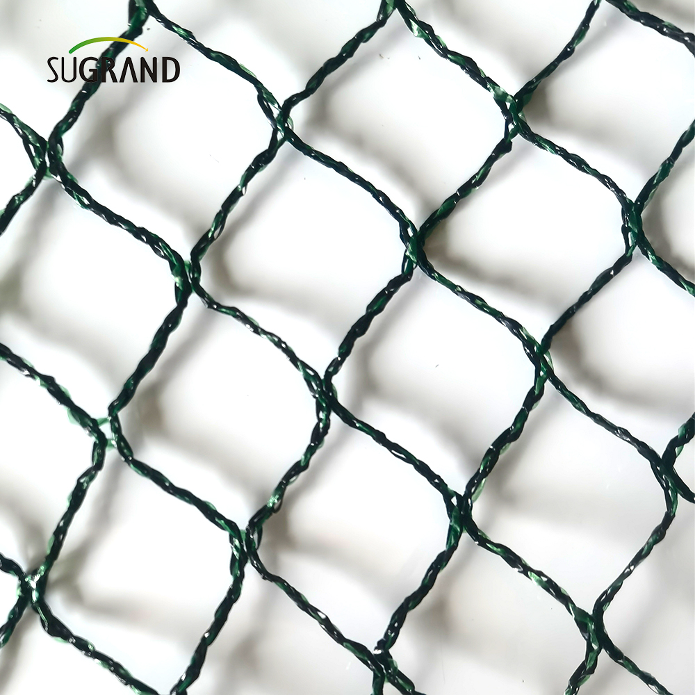 Τσεχική Δημοκρατία100% HDPE+UV 25GSM 20*20mm Mesh 5*6/12m Μαύρο Πράσινη Γεωργία