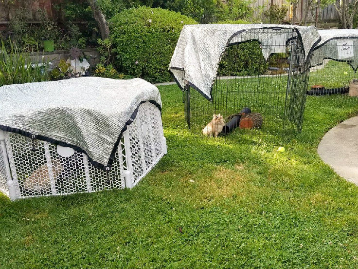 Κορυφαίοι κατασκευαστές καθαρού γεωργικού σκιά στη Μπανγκαλόρ