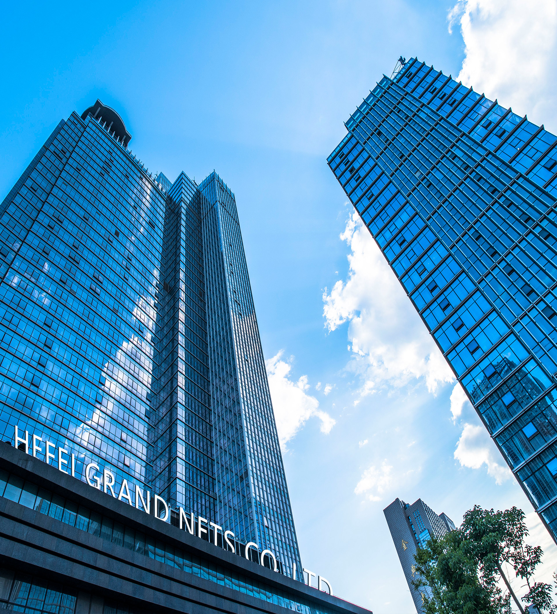 Γλάστρα φυτωρίου 9