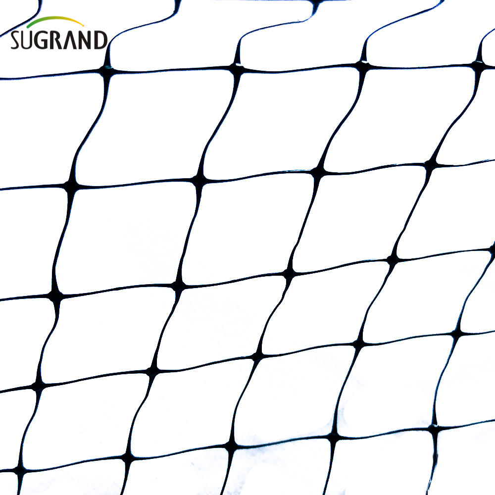 HDPE 200m εξωθημένο αντι -πτηνό δίχτυ για προστασία φρούτων λαχανικών