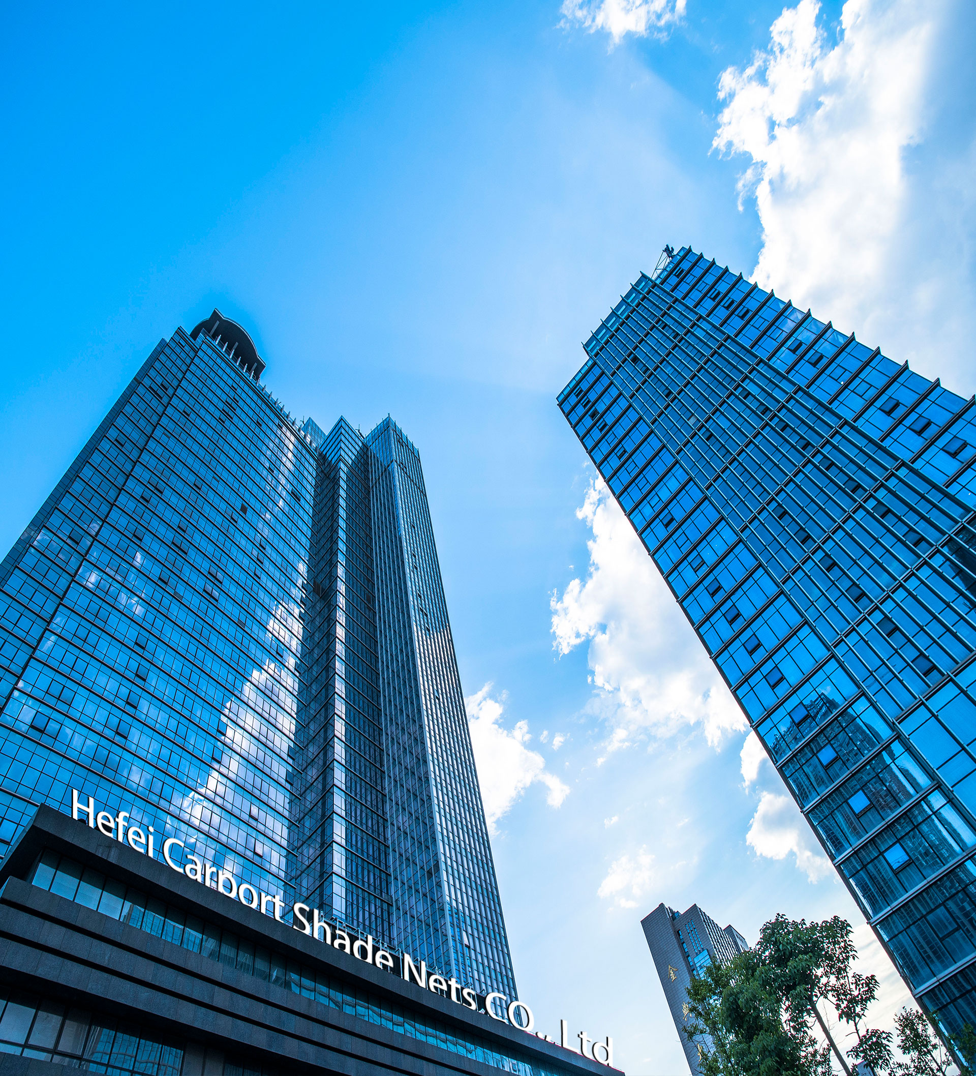 δίχτυ προειδοποίησης 12