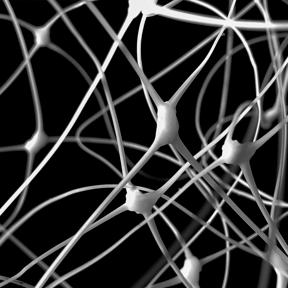 Υποστήριξη φυτών Net Garden Trellis για αναρρίχηση υπαίθριων φυτών