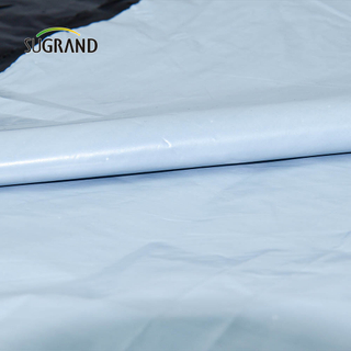 Κινέζικο εργοστάσιο 0.4m-5m πλαστικό φιλμ μεμβράνης για λαχανικό κήπο