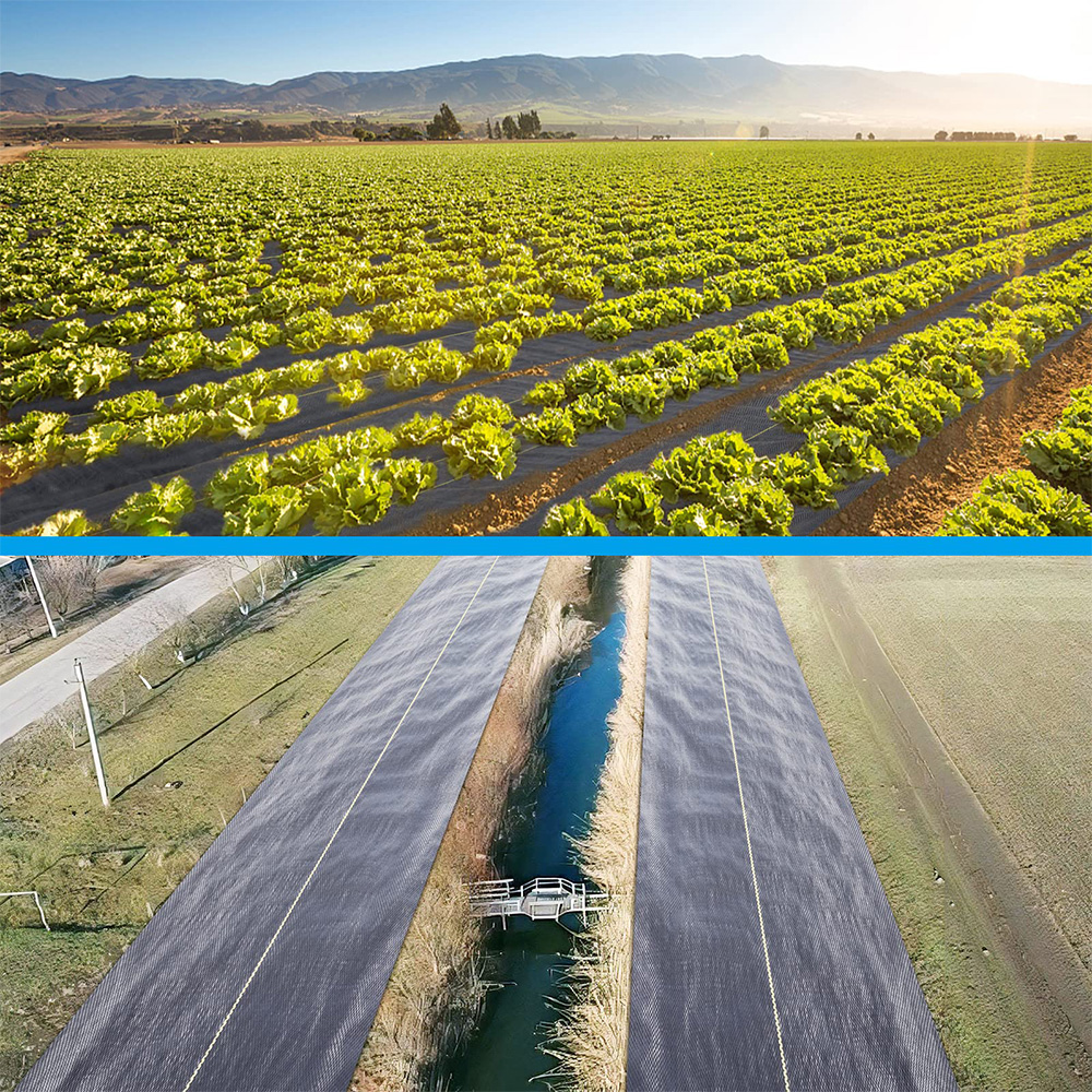 Πολυπροπυλένιο (PP) υφαντό εδάφους κάλυμμα ζιζανίου