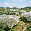 Δίχτυ εντόμων HDPE 40 Mesh για λαχανικά θερμοκηπίου