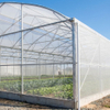 Χονδρική UV Stabilized HDPE Anti Insect Net